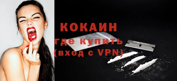 дурь Бородино