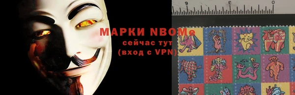 дурь Бородино