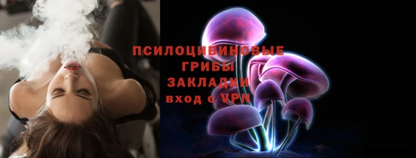дурь Бородино