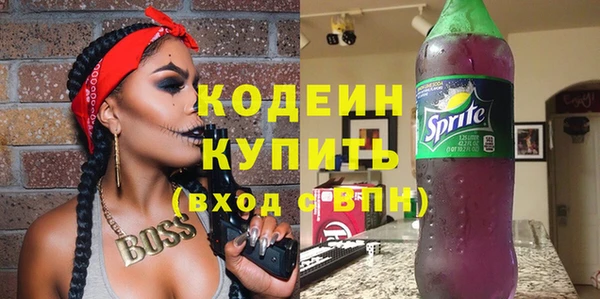 дурь Бородино