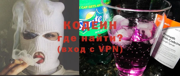 дурь Бородино
